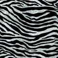 Zebra seamless repeated pattern background with silver foil texture
