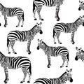 Zebra Seamless Surface Pattern, Black and White Zebras Repeat Pattern for Textile Design, Fabric Printing, Stationary, Packaging,