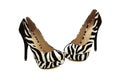 Zebra shoes with black heels Royalty Free Stock Photo