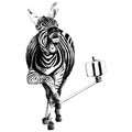 Zebra sketch vector graphics Royalty Free Stock Photo