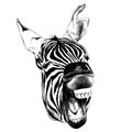 Zebra sketch vector graphics Royalty Free Stock Photo