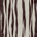 Zebra skin background texture Royalty Free Stock Photo
