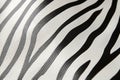 Zebra skin pattern texture Royalty Free Stock Photo