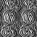 Zebra skin seamless patterns. Royalty Free Stock Photo