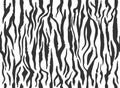 Zebra skin, stripes grunge pattern. Animal print. Black and white background. Vector texture. Royalty Free Stock Photo