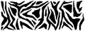 Zebra skin, stripes pattern. Animal print. Black and white background. Vector texture. Royalty Free Stock Photo