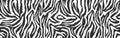 Zebra skin, stripes pattern. Animal print. Black and white background. Vector texture.