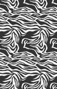 Zebra pattern, stylish stripes texture. Animal natural print. For the design of wallpaper, textile, cover. Vector seamless backgro Royalty Free Stock Photo