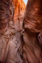 Zebra Slot Canyon with wonderful layers of deposited sandstone, Escalante National Monument, Grand Staircase trail, Kanab