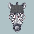 Zebra smile hand drawn wearing a red glasses and beanie