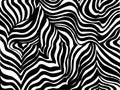 Zebra stripe background