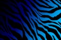 Zebra stripe contemporary art design gradient from dark purple to light blue background color