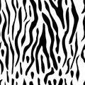 Zebra Stripe Seamless Design