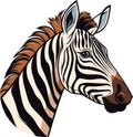 Zebra, striped horse, African savannah animal, cartoon vector Royalty Free Stock Photo