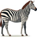 Zebra, striped horse, African savannah animal, cartoon vector Royalty Free Stock Photo