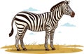 Zebra, striped horse, African savannah animal, cartoon vector Royalty Free Stock Photo