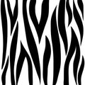 Zebra stripes Royalty Free Stock Photo