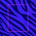 Zebra stripes neon template Vector Abstract dark blue background Purple frame Creative design fashion Poster Banner Royalty Free Stock Photo