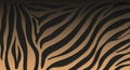 Zebra Stripes Pattern Close Up Texture Background Detail Royalty Free Stock Photo