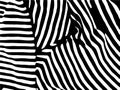 Zebra Stripes Pattern. abstract pattern, stripped background