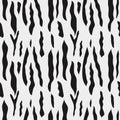 Zebra stripes seamless pattern. Black and white animal background. Royalty Free Stock Photo