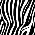 Zebra Stripes Seamless Pattern. Zebra print, animal skin, tiger stripes, abstract pattern, line background, fabric. Amazing hand d Royalty Free Stock Photo