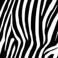 Zebra Stripes Seamless Pattern. Zebra print, animal skin, tiger stripes, abstract pattern, line background, fabric. Amazing hand d Royalty Free Stock Photo