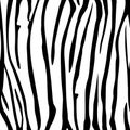 Zebra Stripes Seamless Pattern. Zebra print, animal skin, tiger stripes, abstract pattern, line background, fabric. Amazing hand d Royalty Free Stock Photo