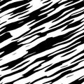 Zebra Stripes Vector