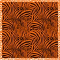 Zebra Stripes. VECTOR. Background. Pattern. A seamless pattern. Square. Ceramic tile. Mosaic.