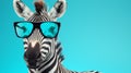 Zebra Sunglasses: Retro Glamor And Innovative Style