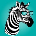 Zebra Sunglasses Stripes Animal Teal Gradient Black White