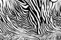 Zebra texture