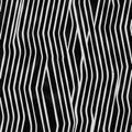 Zebra Texture Print Strips Royalty Free Stock Photo