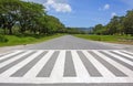 Zebra traffic walk way, cross way Royalty Free Stock Photo