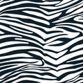 Zebra vector seamless pattern. Trendy fashion textile print in black white colors. Animal fur background Royalty Free Stock Photo