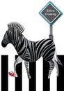 Zebra Crossing Road_eps