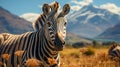 Zebra walking on grass field with mountain background , photo realistic, AI generated