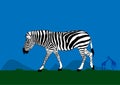 Zebra walking on the grass at the forest graphics design vector illustration