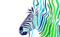 Zebra Wallpaper/Banner