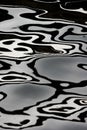 Zebra water reflection I