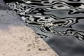 Zebra water reflection III