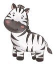 Zebra . Watercolor paint design . Cute animal cartoon character . Standing position . Vector Royalty Free Stock Photo