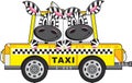 Zebra in Yellow Taxi Cab