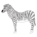 Zebra zentangle stylized for T- Shirt design, sign, poster, coloring book for adult and design element