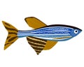 Zebrafish cartoon Danio rerio aquarium fish