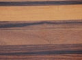 Zebrano dark oak, texture of natural drawing close-up. Background. Close up shot