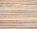Zebrano, light wood texture of natural lines drawing close-up