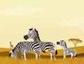 Zebras in African landscape