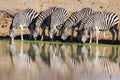 Zebras drinking at waterhole